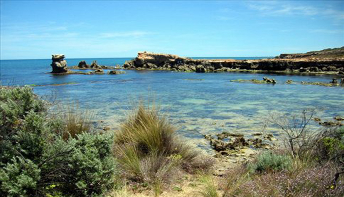 Little Dip Conservation Park